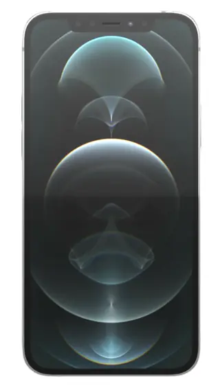 iPhone 12 Pro Prata