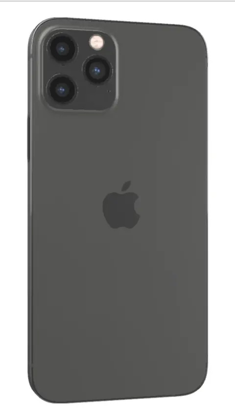 iPhone 12 Pro Grafite